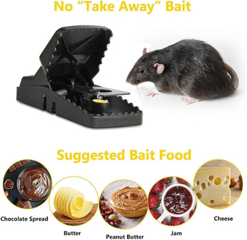 Reusable Heavy Duty Mouse Trap – Fast & Effective Rodent Control